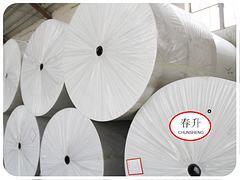 【創(chuàng)新的聚酯胎 要買優(yōu)惠的長絲聚酯胎,就到壽光春升】創(chuàng)新的聚酯胎 要買優(yōu)惠的長絲聚酯胎,就到壽光春升批發(fā)價格,廠家,圖片,壽光市春升非織造布 -