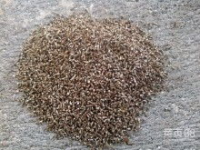 2018輪胎價格 報價 輪胎批發(fā) 第37頁 汽車用品網(wǎng)