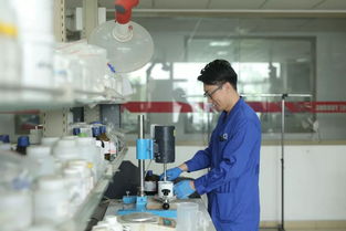 防水款的 月餅 ,你喜歡哪種餡兒